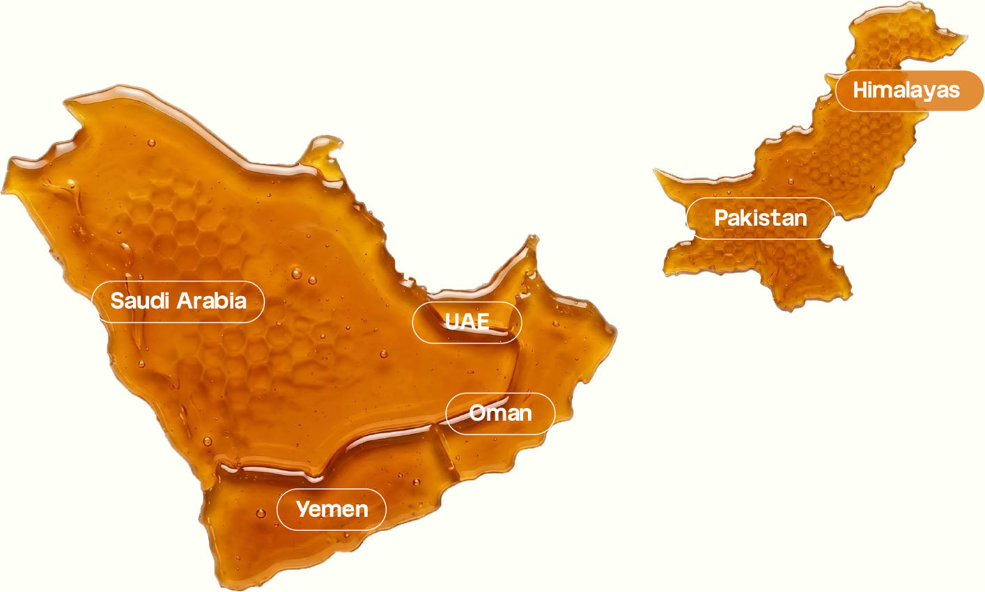 Map of the regions where Sidr trees grow: Saudi Arabia, the UAE, Oman, Yemen and Pakistan, up to the Himalayas